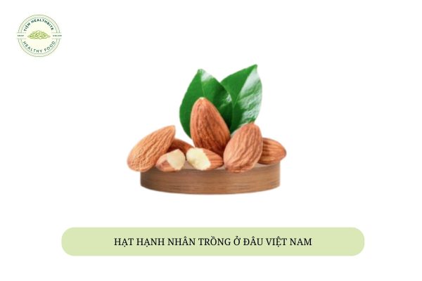 hat-hanh-nhan-trong-o-dau-viet-nam