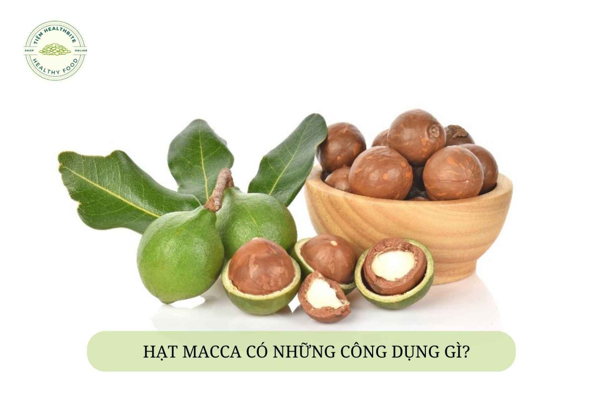 hạt macca có công dụng gì