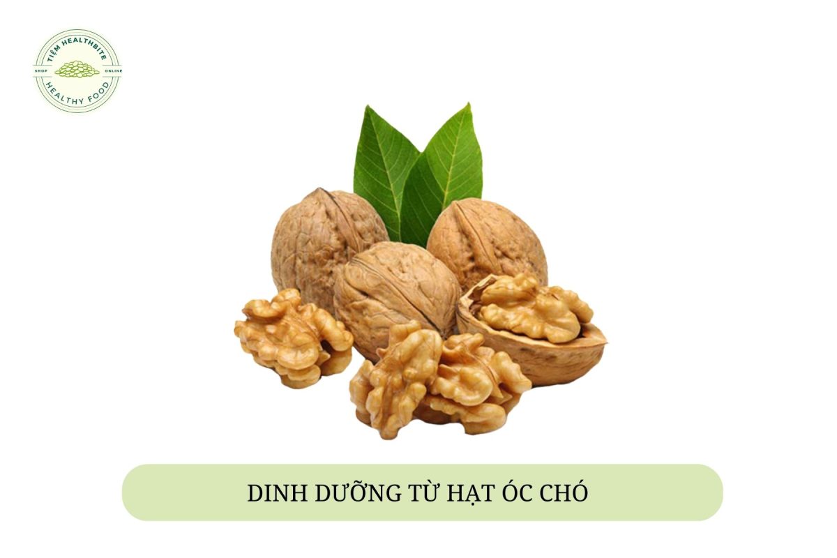 dinh dưỡng từ hạt óc chó